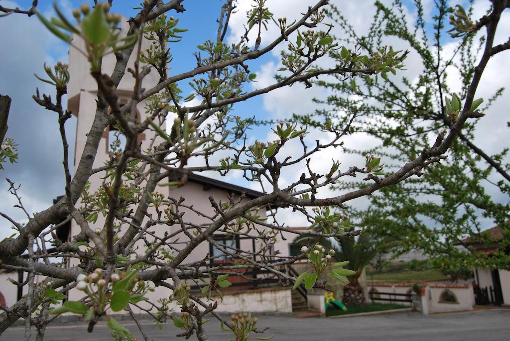 Agriturismo Torre Cristina Aprilia Exterior foto
